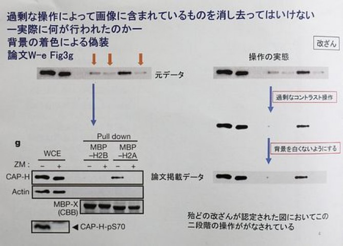 논문 조작의 예를 보여주는 도쿄대 발표자료 中 - 도쿄대 제공